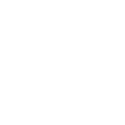 Logo Tracendent